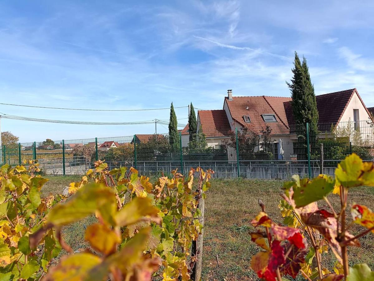 Villa Des Climats Bourgogne Marsannay-la-Côte Extérieur photo